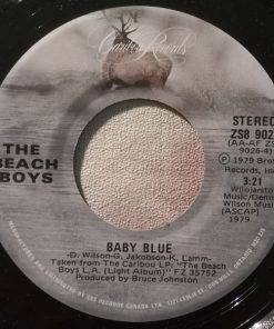 The Beach Boys-1