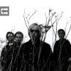 Tom Petty And The Heartbreakers-0