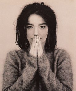 Björk-0