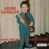 Adam Sandler-0