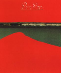Dixie Dregs-0