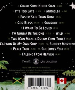 The Sattalites-1