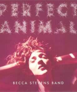 Becca Stevens Band-0