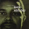 Bheki Mseleku-0