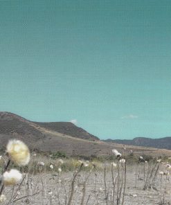 Alanis Morissette-3