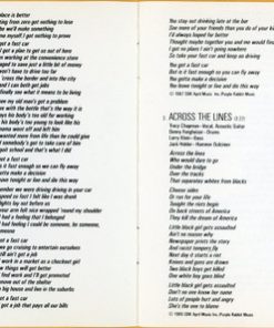 Tracy Chapman-2