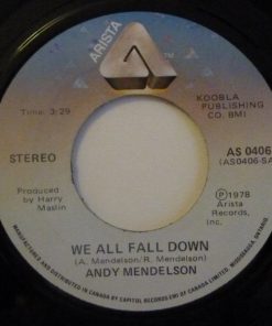 Andy Mendelson-0