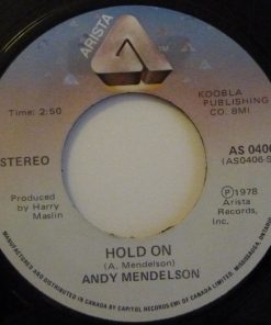 Andy Mendelson-1